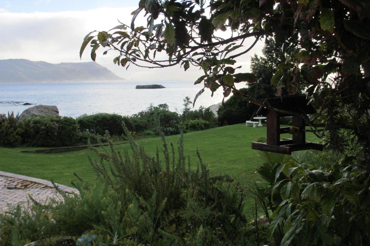 Bosky Dell on Boulders Beach Simonʼs Town Exterior foto