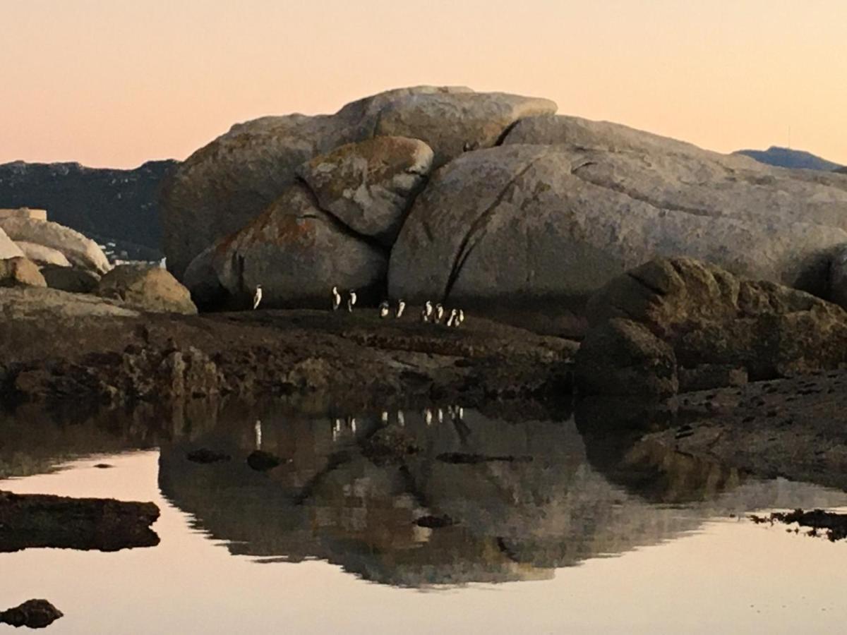 Bosky Dell on Boulders Beach Simonʼs Town Exterior foto