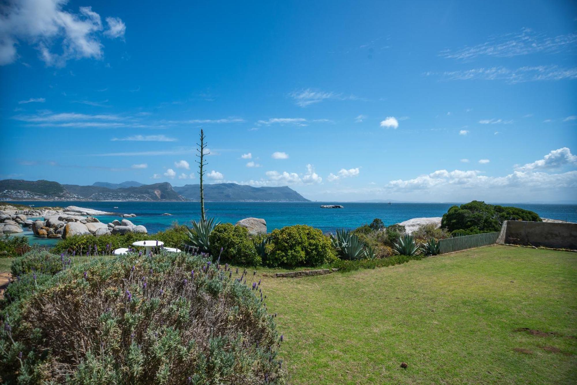 Bosky Dell on Boulders Beach Simonʼs Town Exterior foto